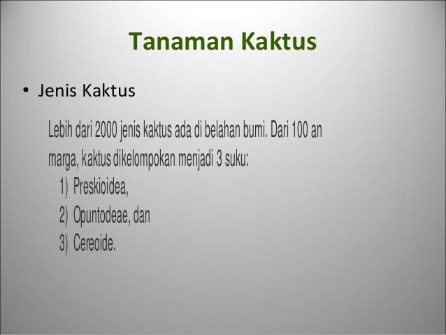 Kaktus melakukan fotosintesis pada organ 99 Kaktus melakukan fotosintesis pada organ 15